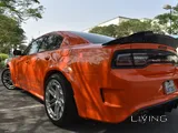 Dodge charger Custom